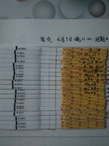 journal_insert_pic_470773646