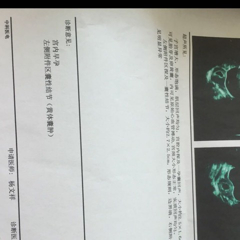 journal_insert_pic_471083415