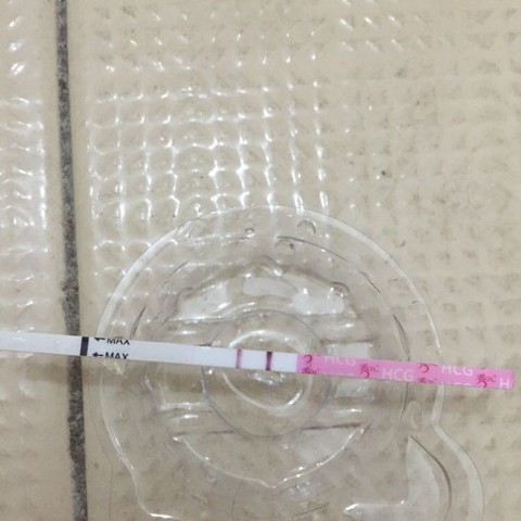 journal_insert_pic_471645582