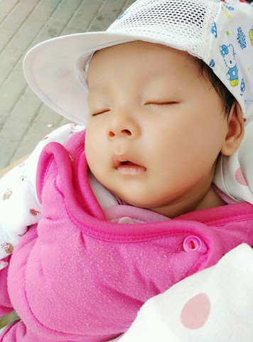 journal_insert_pic_471633016