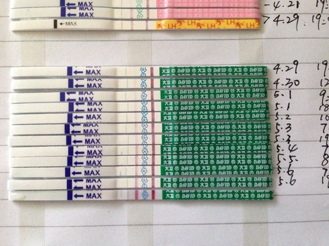 journal_insert_pic_472011326