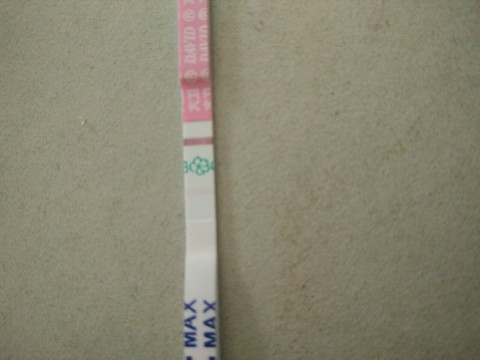 journal_insert_pic_472012881