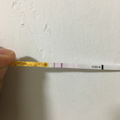 journal_insert_pic_474004515