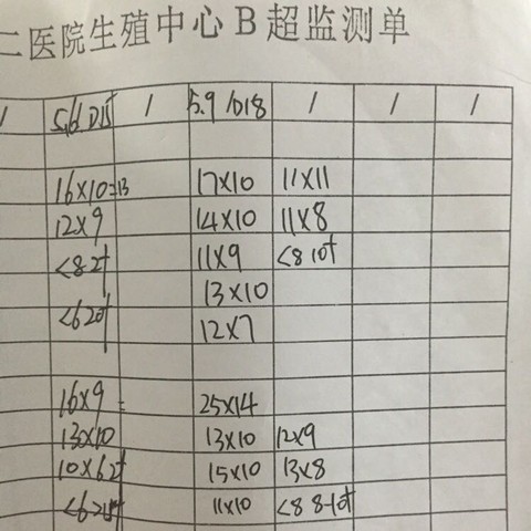 journal_insert_pic_473510657