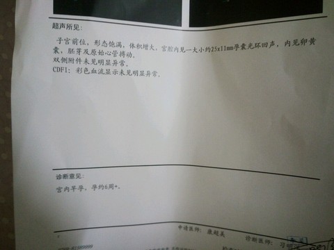 journal_insert_pic_473551395