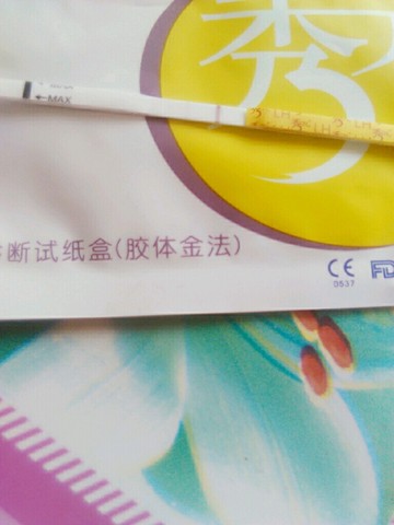 journal_insert_pic_473424196