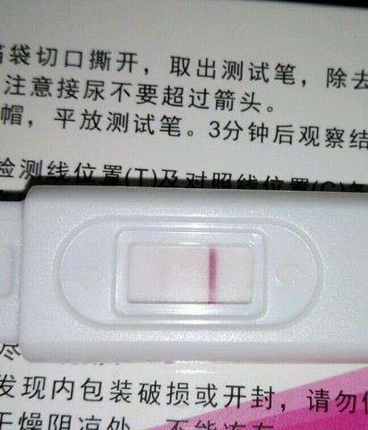journal_insert_pic_474279667