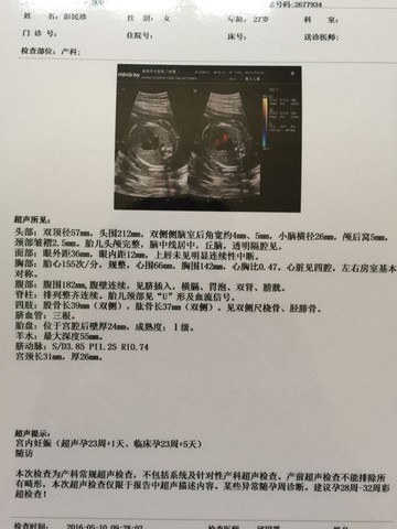 journal_insert_pic_475189867