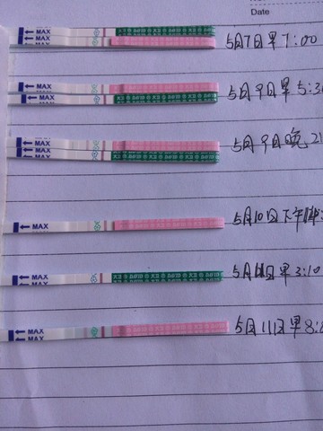 journal_insert_pic_475229860