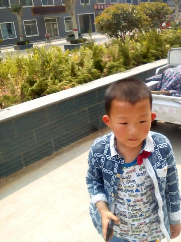 journal_insert_pic_475252672