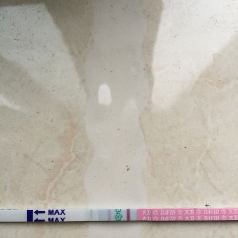 journal_insert_pic_476045353
