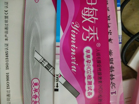 journal_insert_pic_477259350