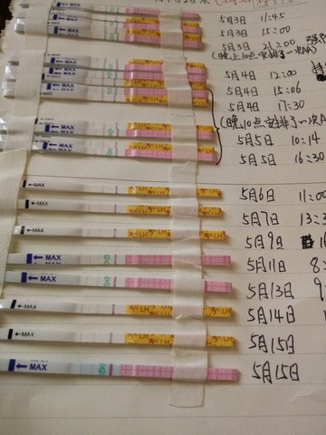 journal_insert_pic_479230042