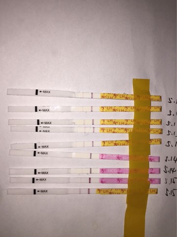 journal_insert_pic_479543590