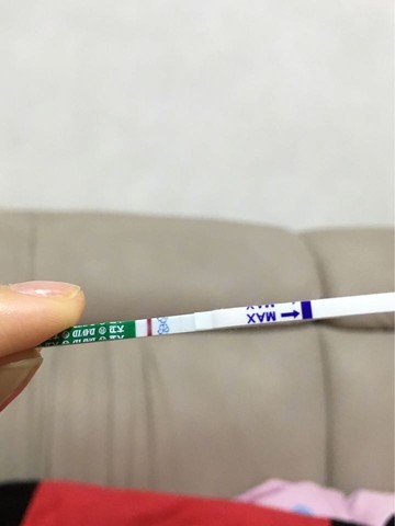 journal_insert_pic_479994950