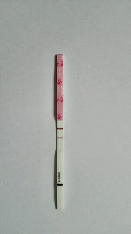 journal_insert_pic_479925123