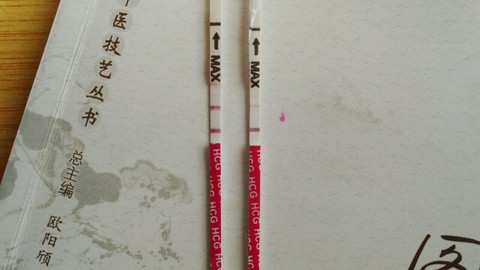 journal_insert_pic_479875030