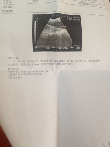 journal_insert_pic_481004869