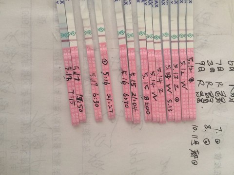journal_insert_pic_481670201