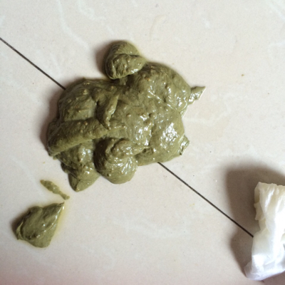 有宝妈知道宝宝拉大便墨绿色怎麼回事不