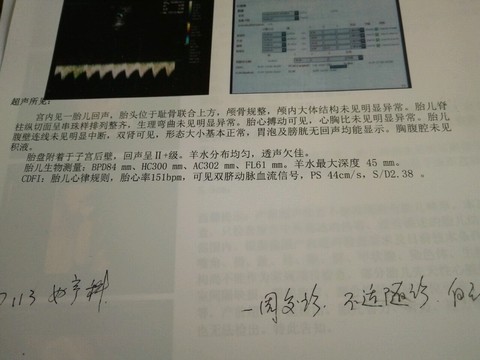 journal_insert_pic_482050124