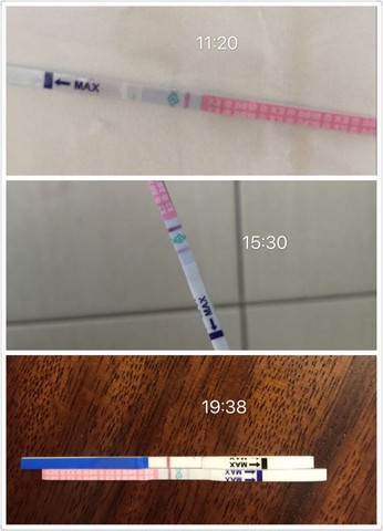 journal_insert_pic_482171410