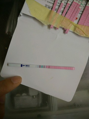 journal_insert_pic_482667816