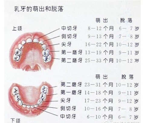 journal_insert_pic_483012502