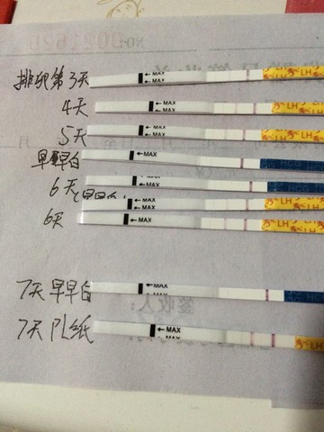 journal_insert_pic_483938989