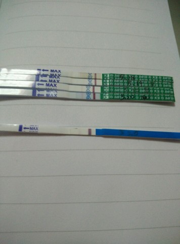 journal_insert_pic_484111088