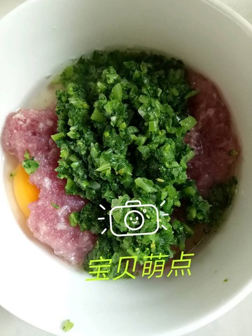 journal_insert_pic_484553097