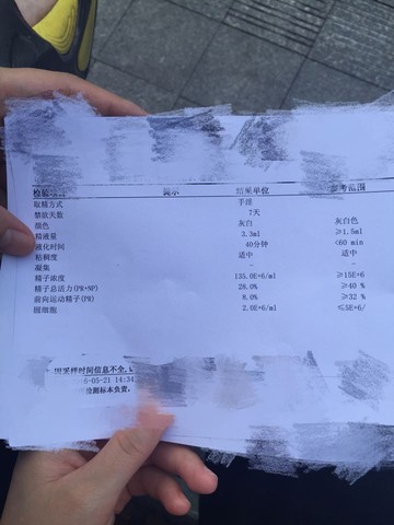 journal_insert_pic_484909265