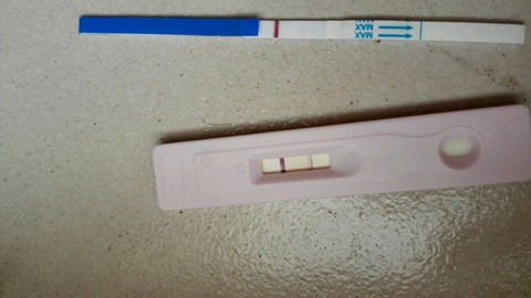 journal_insert_pic_485274935