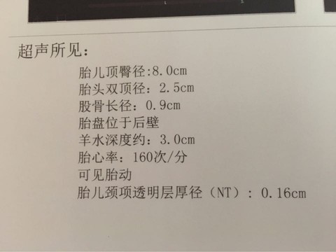 journal_insert_pic_486643303