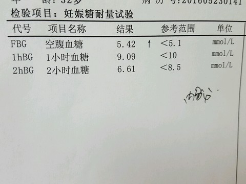 journal_insert_pic_486654616