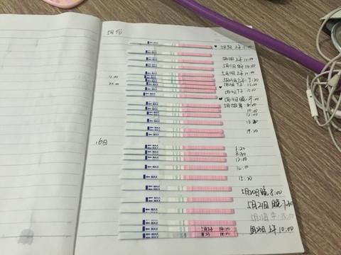 journal_insert_pic_486810163