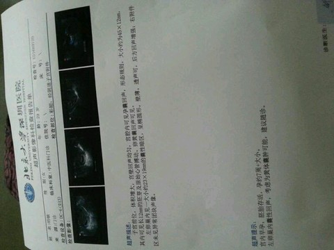 journal_insert_pic_486893839