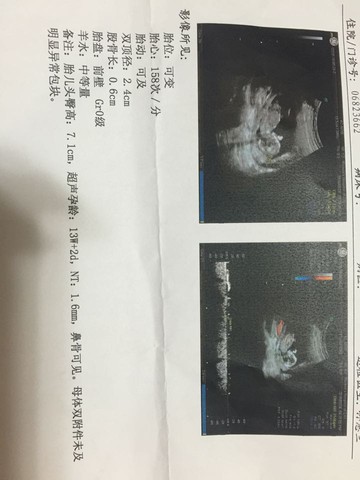journal_insert_pic_488035947