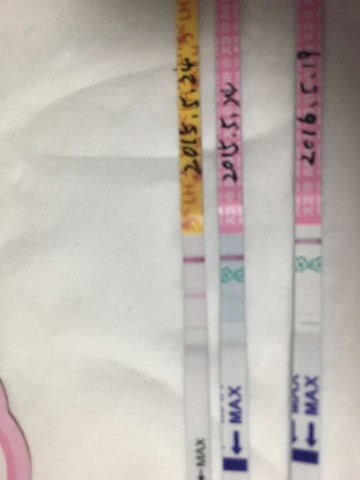journal_insert_pic_488015181