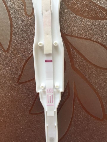 journal_insert_pic_488411537