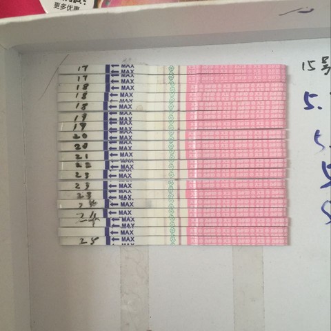 journal_insert_pic_488264569