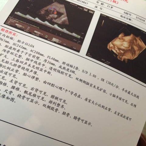 journal_insert_pic_489357603