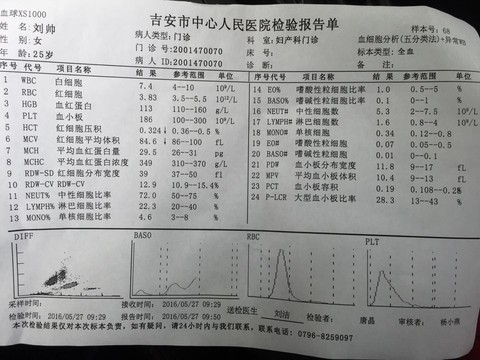 journal_insert_pic_490390311