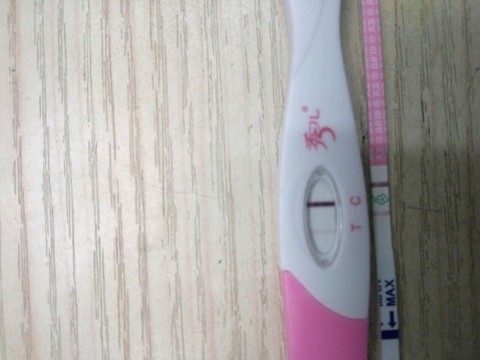 journal_insert_pic_490446506