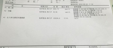 journal_insert_pic_490555951