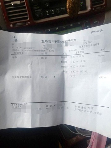 journal_insert_pic_491563555