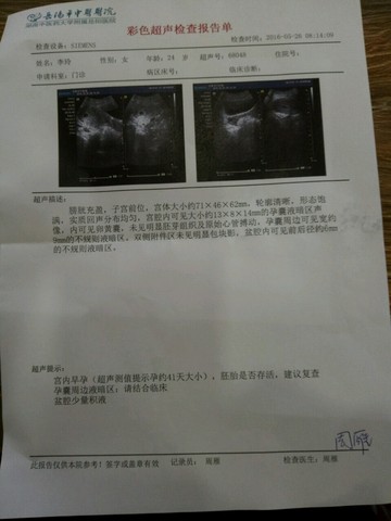 journal_insert_pic_492504580