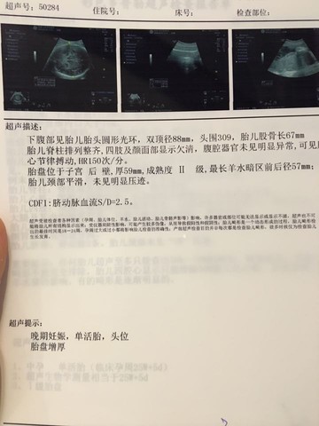 journal_insert_pic_493499414
