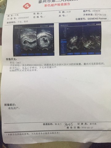 journal_insert_pic_493266172