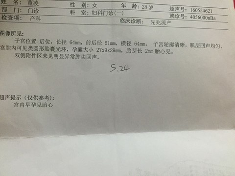 journal_insert_pic_494372485